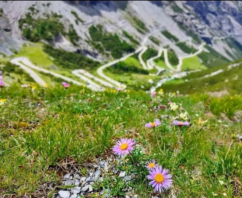 L'Appartamentino Del Cuore Bormio